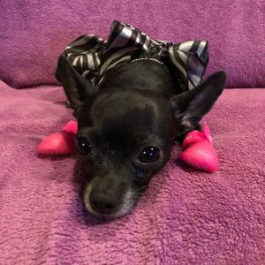 Meet your Posher, Jade